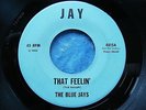 VERY RARE NORTHERN SOUL 45 THE BLUE JAYS -THAT FEELING / POINT OF VIEW on JAY