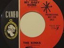 The Kinks 