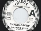 Snakes Group Growing wiser Dutch 67 garage freakbeat 45 White label Belgium