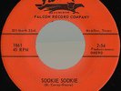 LOS BRILLOS fuzzy TEX MEX GARAGE SOUL 45 *listen*