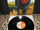 BLINK 182  DUDE RANCH MTS  BLACK vinyl  500  NEW