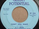 E.T. WHITE and GREAT POTENTIAL BAND   FUNKY SOUL SHAKE rare DC funk 45   HEAR