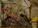 NAZZ From Philadelphia LP/Rare Demos & Alternate Tracks/Todd Rundgren/OOP