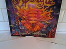 SHPONGLE - MUSEUM OF CONSCIOUSNESS VINYL LP. RARE HOLOGRAM COVER
