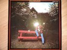 GENE CLARK - Two Sides To Every Story - LP RSO POLYDOR
