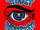 Teenage Bottlerocket - Complete Discopgraphy Vinyl Record Box Set 2013 New
