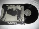 SACCHARINE TRUST - Pagan Icons - Rare Original 1981 SST Hardcore Punk LP