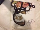 Rival Sons Head Down Fully Signed Double Vinyl Lp + Download Card .