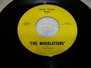 garage / psych- the modulations of tulsa oklahoma ( back door man)rare & obscure