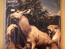 interpol - our love to admire - double LP + CD - still in shrink