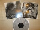 THE SPITS 3rd LP  European Tour Edt WolfDog Thriftstore GreyMarbleVinyl Dirtnap