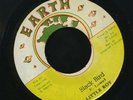 1138 LITTLE ROY-BLACK BIRD-EARTH-1974 LEE PERRY-REGGAE 45 7