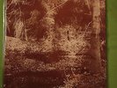 ANGLAGARD - EPILOG- RARE LP- GATES OF DAWN