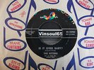 *Listen* 60s NORTHERN The Kittens 
