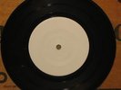CRANIUMS Sunny Day Real Estate FLATLAND SPIDER Rare Test Pressing 7