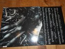 SCOTT WALKER TILT ORIGNAL VINYL