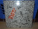 Riot [LP] by Paramore (Vinyl, Dec-2007, Fueled by Ramen Records)