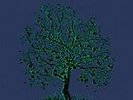 Fruit Tree [Box] [LP] by Nick Drake (Vinyl, Nov-2007, 4 Discs, Island Records...