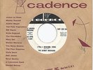 EVERLY BROTHERS * 45 * ('Til) I Kissed You * 1959 #4 * DJ PROMO * Buddy Holly