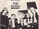 The Bush Hiback 102 '65 garage 45 Inland Emoire Ugly Things MINT- picture sleeve