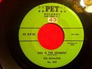 THE REVALONS 45 Dreams Are For Fools w/ This is The Moment PET rare DOO WOP orig