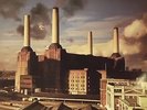 PINK FLOYD - ANIMALS - UK 77