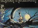 IRON MAIDEN - FEAR OF THE DARK - 2 LPs - DE 92 - NM