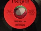 SWEET SOUL HARMONY 45' ....DOWN TO EARTH ( UNIQUE)