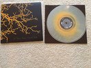 If These Trees Could Talk- S/T: Clear w/ Orange Haze Vinyl Record (ltd. 150)
