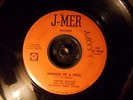 Soul M- DJ, Wisdom Of A Fool, Johnnie Jackson
