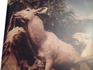 interpol - our love to admire - double LP