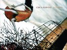 NEW Circa Survive Juturna Red Vinyl LP SEALED On Letting Go Blue Sky Noise