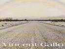 Vincent Gallo When Vinyl LP Warp 2001 Unplayed Super Rare
