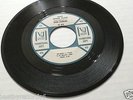 Wade Flemons:  That Other Place/I Knew You (Rare Chicago Soul 45) Vee-Jay - DJ