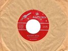 CANADA RARE 1960s ORIGINAL INSTR ROCKABILLY 45 RPM THE ROCKETS : ROCKETS ROCK