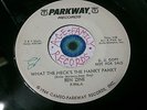 BEN ZINE   What The Heck's The Hanky Panky   WHITE LABEL PROMO Parkway 996 soul