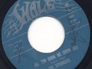 Fabulous Sweet harmony ballad - SPRINGERS - Wale - All Too Soon We Grow Old HEAR