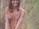 MINT CANADA VINYL LP ON POLYDOR OLIVIA NEWTON-JOHN IF NOT FOR YOU 2310 136