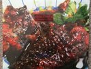 Animal Collective Strawberry Jam Vinyl Lp