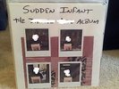 Sudden Infant RRRecords special edition LP Runzelstirn & Gurgelstock Prurient