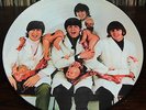 The Beatles - Yesterday And Today **Capitol ST 2553 Picture Disc** MINT