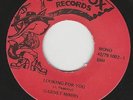 Looking For You - Garnet Mimms (Soul Fox)