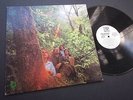 DOUGLAS FIR - HARD HEARTSINGIN' / ORIG MINT- US WLP QUAD QUS 5002 DJ PROMO RARE
