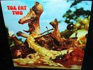 NICE CLEAN 1971 = TOE FAT   TWO + PETER GREEN Hard HEAVY PSYCH Uriah PETER GREEN
