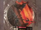 Running Wild Little Big Horn Shape sealed