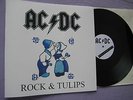AC/DC-Rock & Tulips 12