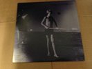 FLIES INSIDE THE SUN an audience of others LP Record 1995 VG
