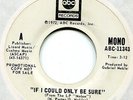 NOLAN PORTER LITTLE FEAT If I Could Only Be Sure MONO b/w stereo PROMO