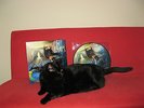 In Flames A Sense of Purpose lim Picture disc