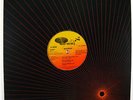 MADROCK We Funk The Best / Wild Thang 12